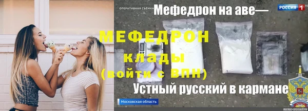 шишки Белокуриха
