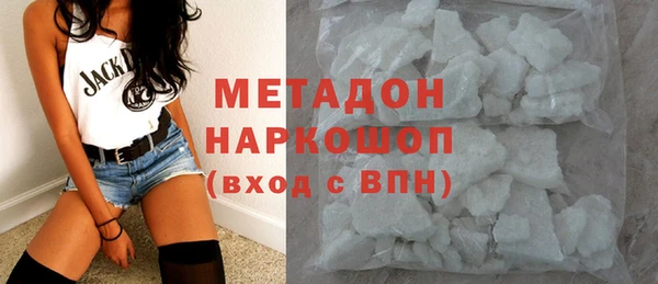 шишки Белокуриха