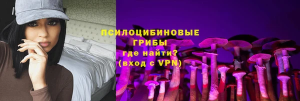 шишки Белокуриха