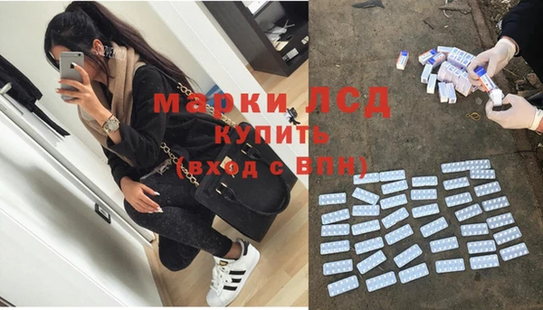 шишки Белокуриха