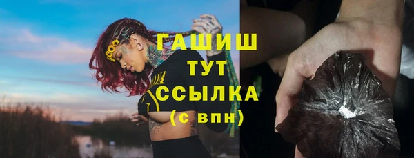 шишки Белокуриха