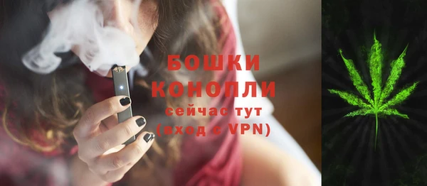 шишки Белокуриха