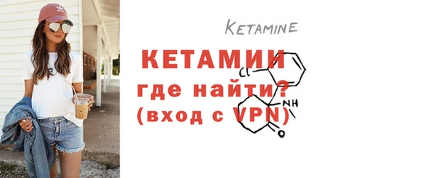 шишки Белокуриха